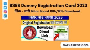 BSEB Dummy Registration Card 2023